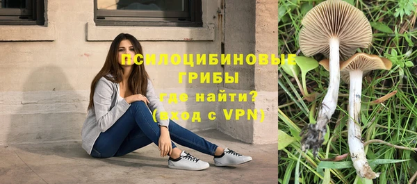 ПСИЛОЦИБИНОВЫЕ ГРИБЫ Майский
