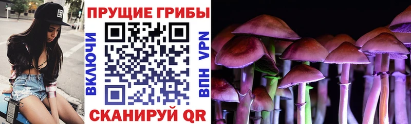 Псилоцибиновые грибы GOLDEN TEACHER Спасск-Рязанский